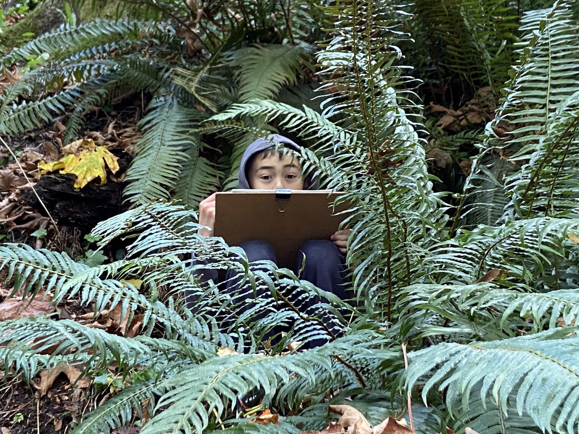 Outdoor Learning-Boy in Ferns.jpg