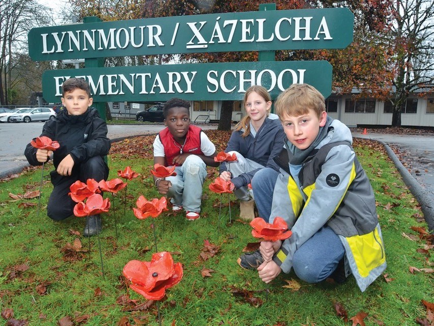 lynnmour-school-poppies.jpg