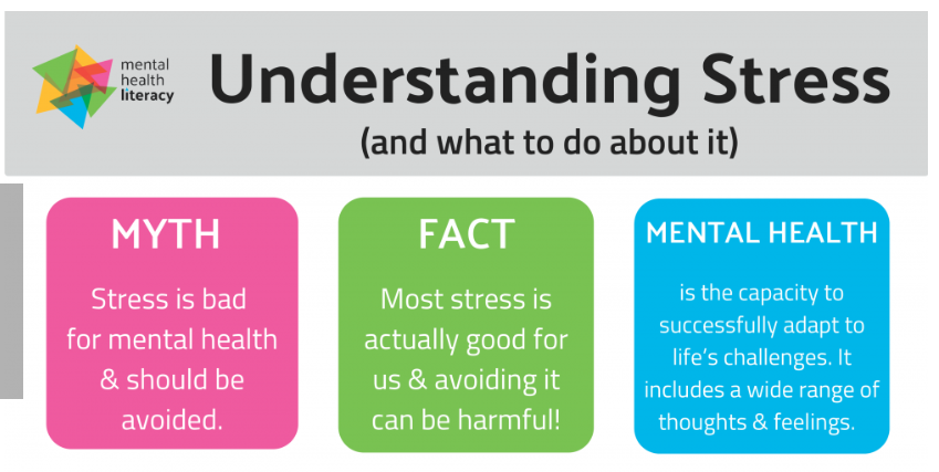 Understanding Stress